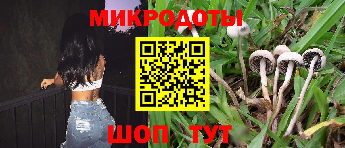 купить   Галлюциногенные грибы Cubensis  Вход с VPN  Коряжма  Псилоцибиновые грибы мухоморы 