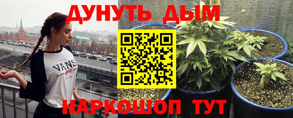 МАРИХУАНА планчик  Вход с VPN  Коряжма  Бошки марихуана семена  Бошки Шишки MAZAR 